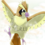 Pidgey