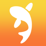 Koi™