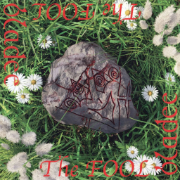 the fool