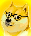 DOG ACADEMY THE DOG WAYS