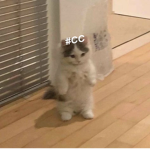 #CC