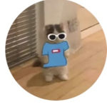 Roblox Rp buds
