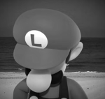 MproFly