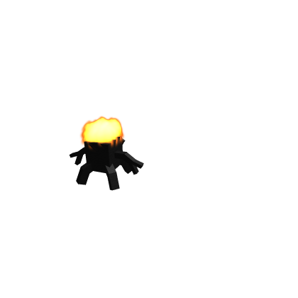 For Ibot.