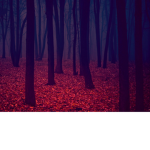 -Ghosts! ~
