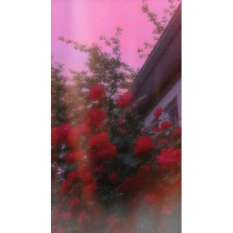 💖🌹Bratzz🌹💖