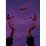 butterfliesx~