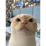 Hangout Slee_ping