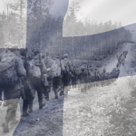 Siły Zbrojne • Polish Military