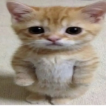 uwuslit 愛