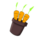 Project : Terraforming