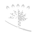 Diamond Collections