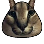 floppa mas pou