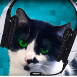 game  z  cat  t fan group