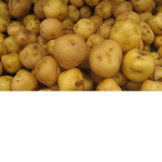 POTATO DEPOT