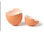 Eggo Shello