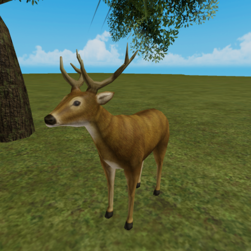 Wilderness Deer Survival