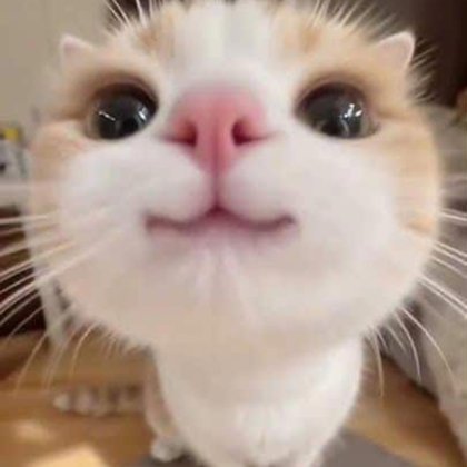 Don't Forget Roblox music