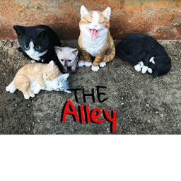 Alley