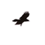 Crow Designs ®
