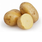 Bulgaria Potato
