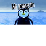 Mr penguins group