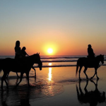 sun riders co.