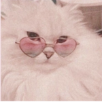 kitty pets squad