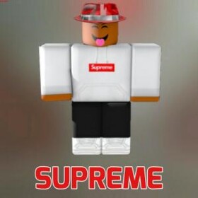 Supreme U.S's  HomeStore V1
