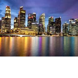 The city