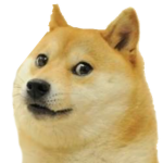 Council of the doges