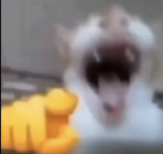 grupo xdddd test