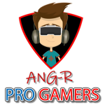 ANG-R Pro Gamers
