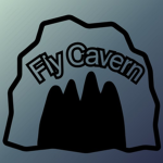 Fly Cavern