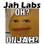 Jah Labs