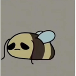 Bee_squadreal