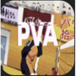 PVA 4.2