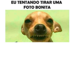 divisao do meu jogo