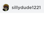 Sillydude1221