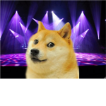 Galactic Doge