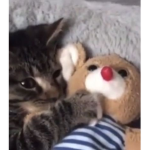 XmasAlqx