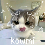 kowmi