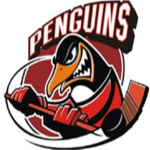 Québec Penguins  (RNHL)