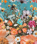 Lavender blossoms fans!!