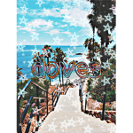 *- . Doves . -*