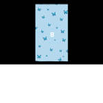 ~builder_Tube~