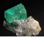 Emerald and Pokémon group