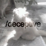 /deceptive