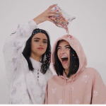 Charli and Dixie fan group