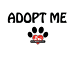 Adopt me real fan group